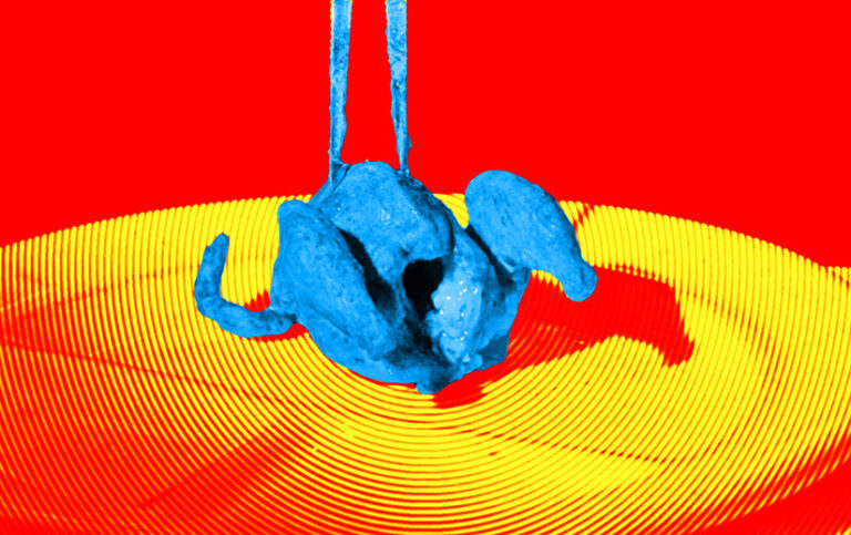 The tiny cooked chicken from Eraserhead, colored bright blue on a red and yellow background.